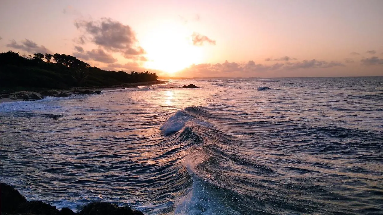 Apartament Studio Avec Grande Piscine, Plage Passion Caraibes Saint-Francois