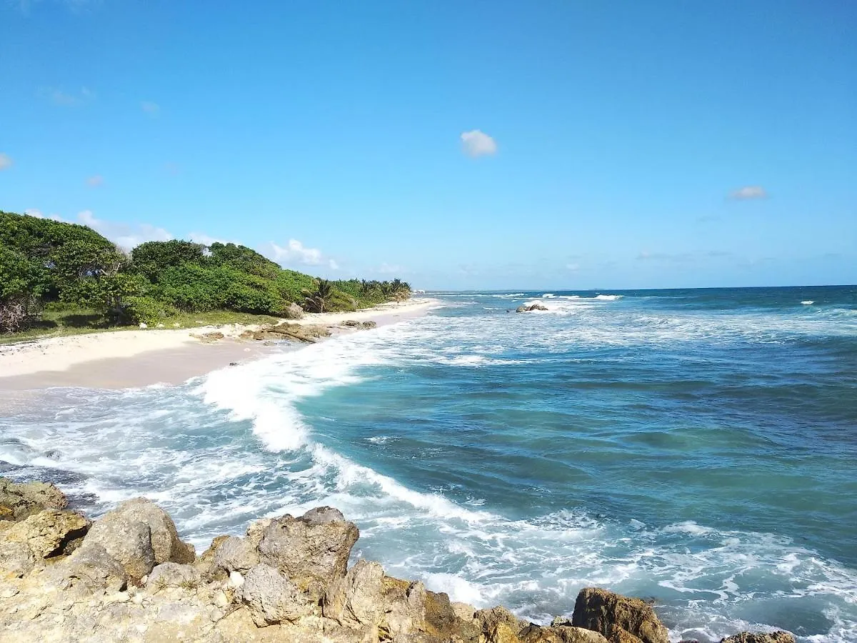 Studio Avec Grande Piscine, Plage Passion Caraibes Saint-Francois  Saint-Francois (Grande-Terre)